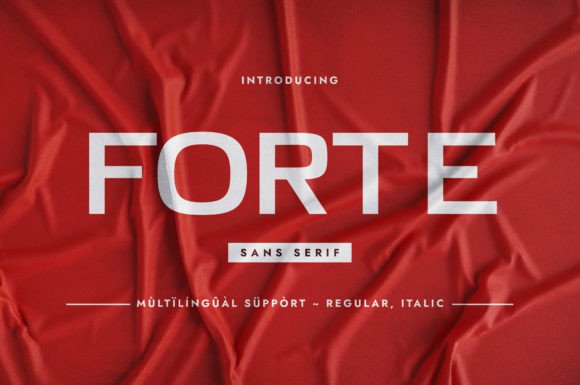 Forte: A Bold Sans Serif Font for Editorial Design and Branding